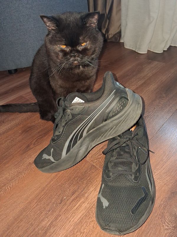 Чоловічі кросівки Puma оригінал