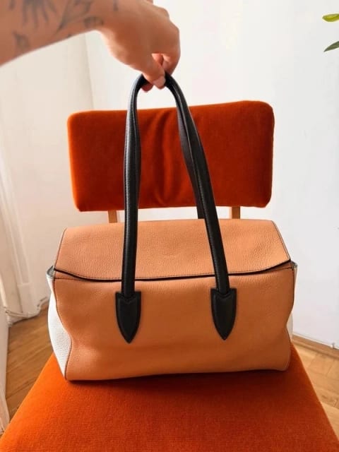Max Mara bag