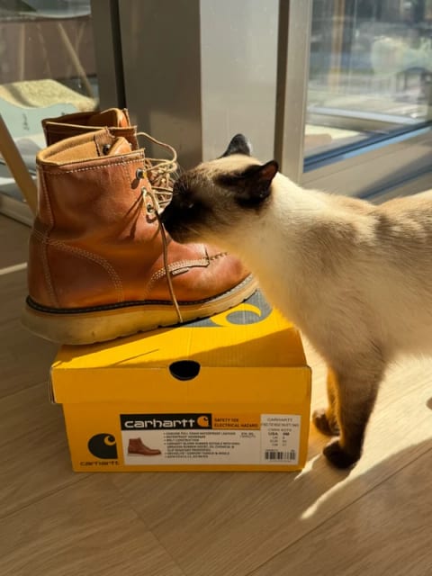 Carhartt Men's Waterproof Steel Toe Wedge Boots (CMW6270)