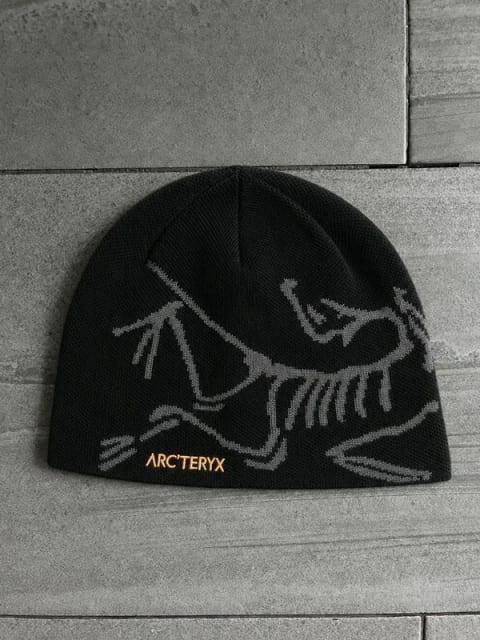 Arc'teryx toque bird head winter beanie