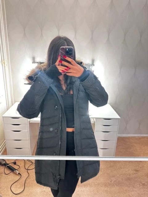 Canada goose