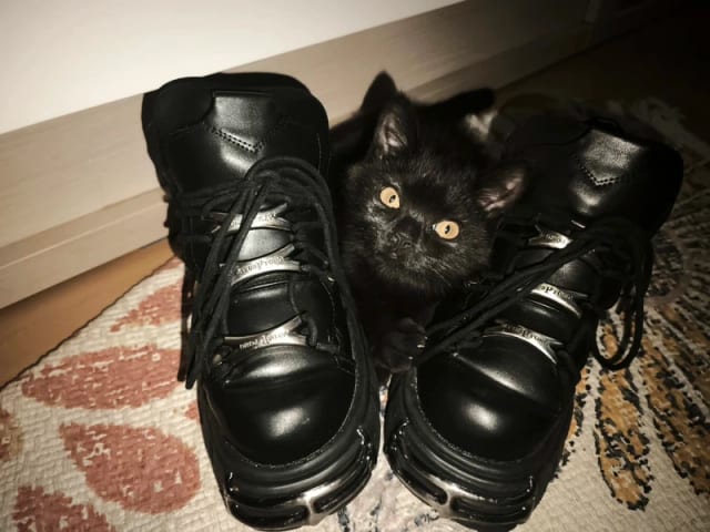 New Rocki