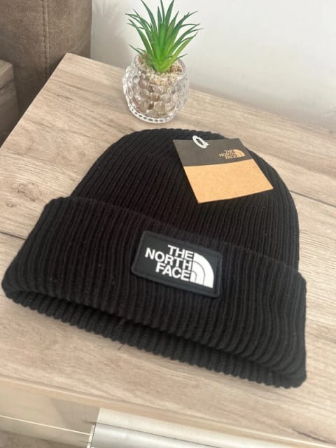 Căciula The North Face🗿