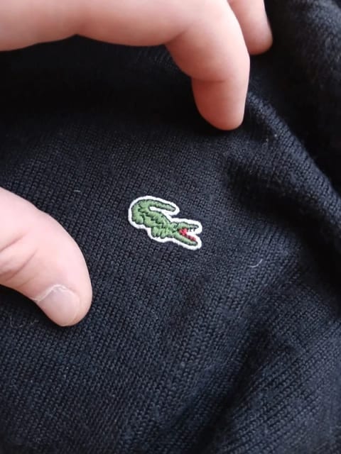 Lacoste V-neck jumper
