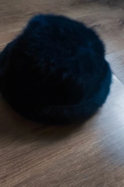 Kapelusz Kangol