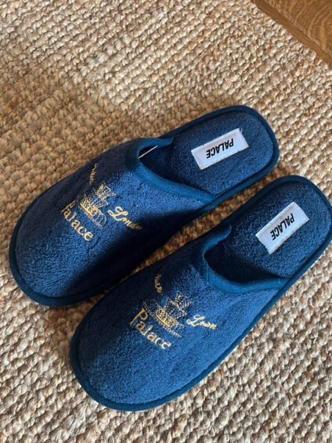 Palace Slides