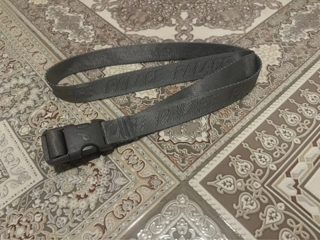 Palace P Clip Webber Belt Silver
