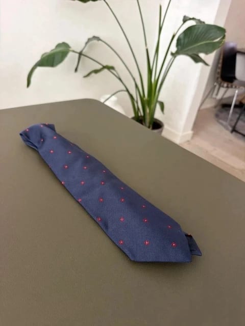 Loro Piana tie