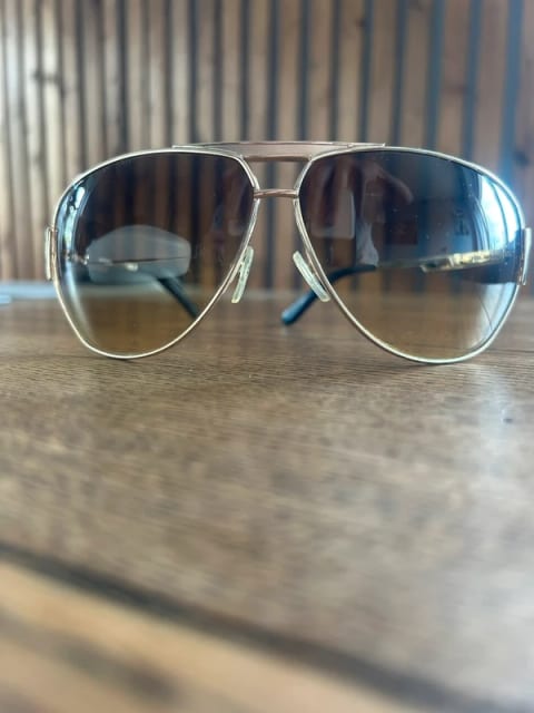 Vintage Diesel Wrap-Around Aviator Sunglasses with Original Case – Y2K Aesthetic