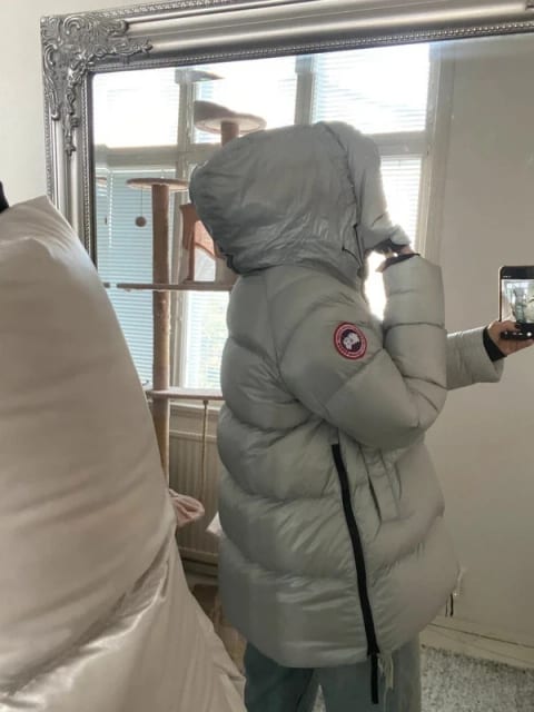 Canada goose L