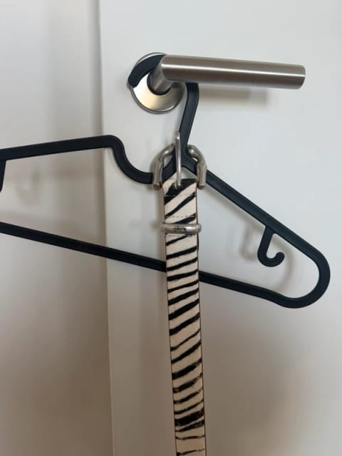 Stussy zebra belt
